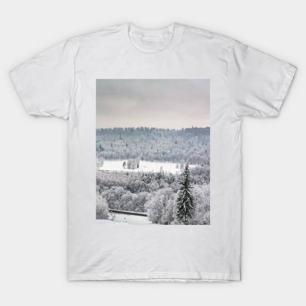 Snowy-bound view T-Shirt by lena-maximova